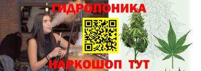 MDMA Можга