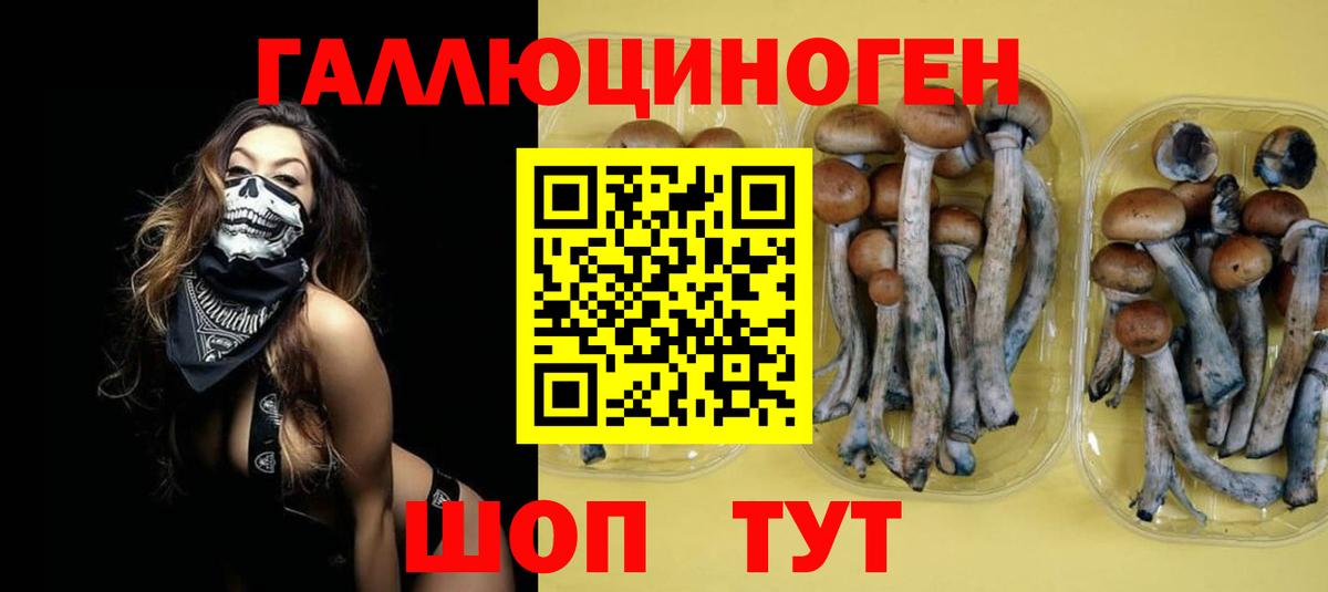Галлюциногенные грибы Magic Shrooms  Вход с VPN  где продают   Родники  Псилоцибиновые грибы Psilocybe 