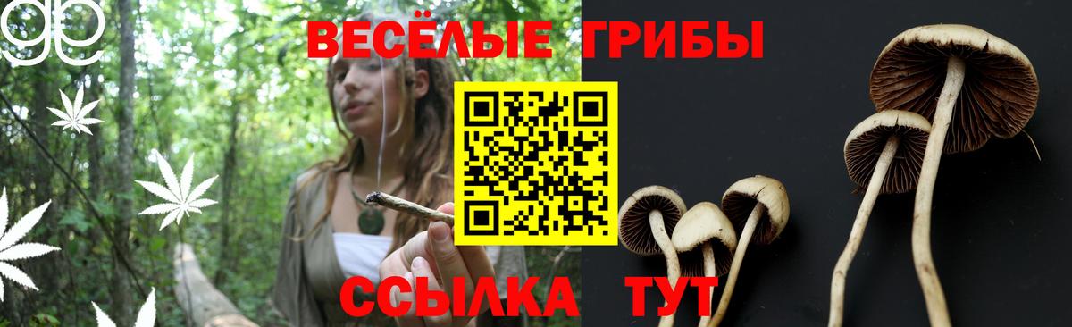 Галлюциногенные грибы GOLDEN TEACHER Родники